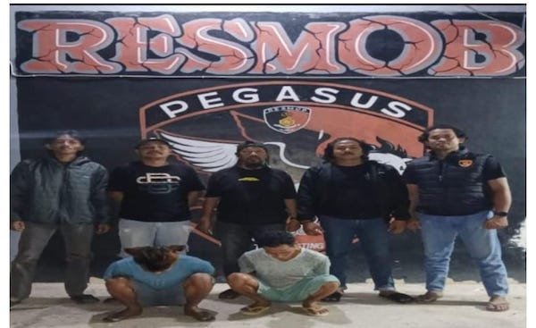 Gagalkan Penyelundupan 500 Liter Miras Ballo, 2 Pria Diringkus Tim Pegasus Jeneponto