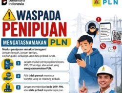 PLN Ingatkan Pelanggan Waspadai Modus Penipuan Digital Berkedok Layanan Kelistrikan