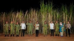 Gubernur Sulsel Panen Raya Tebu Bersama TNI, Tegaskan Dukungan Program Presiden Prabowo