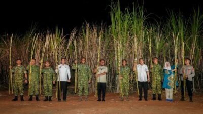 Gubernur Sulsel Panen Raya Tebu Bersama TNI, Tegaskan Dukungan Program Presiden Prabowo