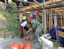 Babinsa Saluputti Gotong Royong Bantu Warga Bangun Fondasi Rumah di Tana Toraja