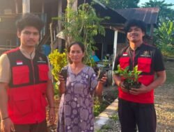 Mahasiswa KKN Unhas Tanam 116 Bibit Pohon Produktif di Maros
