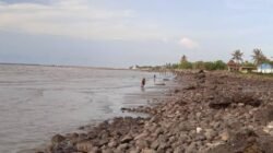 Pamit Cari Rumput Laut, Lansia di Jeneponto Ditemukan Tewas di Pesisir Pantai