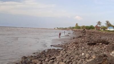Pamit Cari Rumput Laut, Lansia di Jeneponto Ditemukan Tewas di Pesisir Pantai