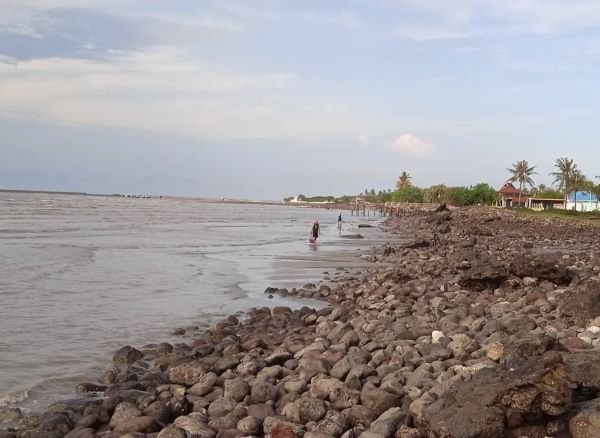 Pamit Cari Rumput Laut, Lansia di Jeneponto Ditemukan Tewas di Pesisir Pantai