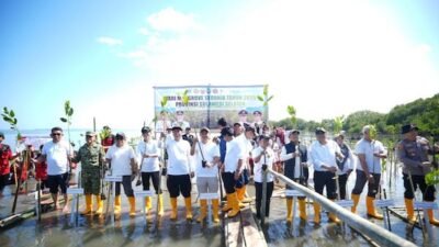 Pemprov Sulsel: Pelestarian Mangrove Butuh Kolaborasi Semua Pihak