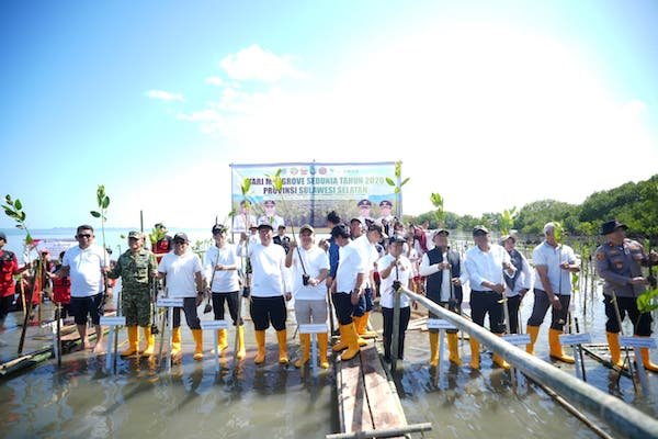 Pemprov Sulsel: Pelestarian Mangrove Butuh Kolaborasi Semua Pihak