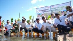 Hari Mangrove Sedunia 2026, Pemprov Sulsel Tanam 7.000 Bibit di Pangkep
