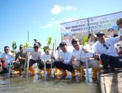 Hari Mangrove Sedunia 2026, Pemprov Sulsel Tanam 7.000 Bibit di Pangkep