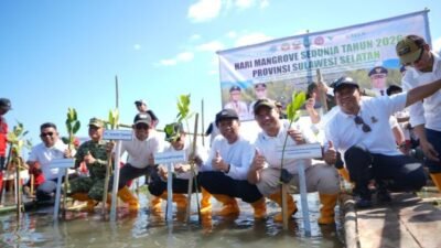 Hari Mangrove Sedunia 2026, Pemprov Sulsel Tanam 7.000 Bibit di Pangkep