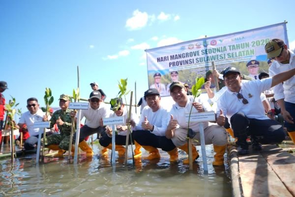 Hari Mangrove Sedunia 2026, Pemprov Sulsel Tanam 7.000 Bibit di Pangkep