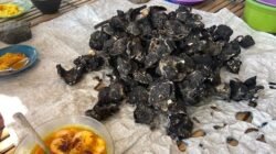 Berburu Tiram Bakar, Kuliner Barru yang Manjakan Lidah