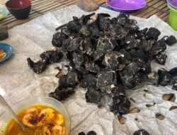 Berburu Tiram Bakar, Kuliner Barru yang Manjakan Lidah