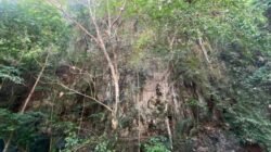 Maros Andalkan Karst Terluas Kedua Dunia Hadapi Revalidasi UNESCO