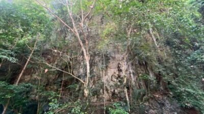Maros Andalkan Karst Terluas Kedua Dunia Hadapi Revalidasi UNESCO