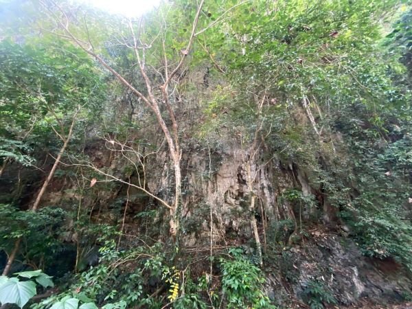 Maros Andalkan Karst Terluas Kedua Dunia Hadapi Revalidasi UNESCO