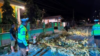 Polantas Polda Sulbar Bersihkan Ranting Pohon demi Keselamatan Pengguna Jalan