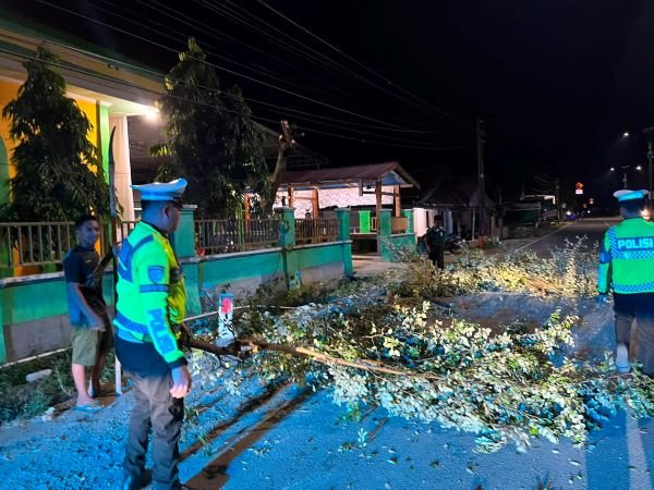 Polantas Polda Sulbar Bersihkan Ranting Pohon demi Keselamatan Pengguna Jalan