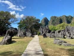 Leang-Leang Maros, Jejak Manusia Purba di Balik Megahnya Karst