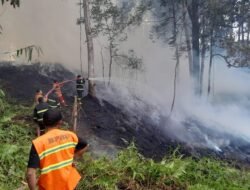 Pembukaan Lahan Diduga Picu Kebakaran di Kesu Toraja Utara