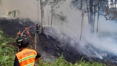 Pembukaan Lahan Diduga Picu Kebakaran di Kesu Toraja Utara