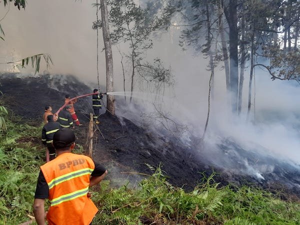 Pembukaan Lahan Diduga Picu Kebakaran di Kesu Toraja Utara