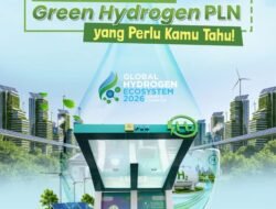 PLN Operasikan 24 Green Hydrogen Plant, Produksi Hidrogen Hijau 203,6 Ton per Tahun