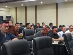 Peternak Sulsel Khawatir Harga Jagung Pakan Tembus Rp9.000