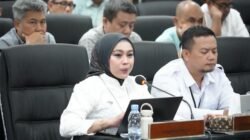 Soal Harga Jagung Pakan Naik, Bulog Ingatkan Banyak Komponen Pengaruhi HPP Telur