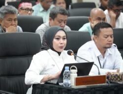 Soal Harga Jagung Pakan Naik, Bulog Ingatkan Banyak Komponen Pengaruhi HPP Telur