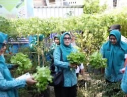 PKK Makassar Dorong Kebun Pekarangan jadi Sumber Pangan Keluarga