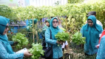 PKK Makassar Dorong Kebun Pekarangan jadi Sumber Pangan Keluarga