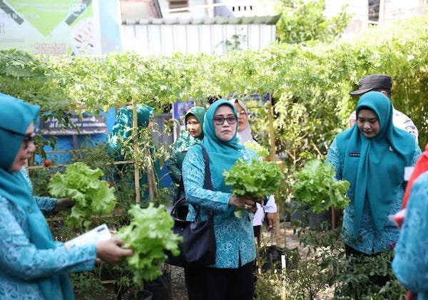PKK Makassar Dorong Kebun Pekarangan jadi Sumber Pangan Keluarga
