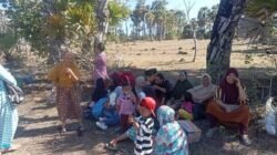 Peringatan Tsunami Berakhir, BPBD Jeneponto Pastikan Kondisi Aman Usai Gempa M 7,7 SR