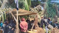 Usai Karnaval Kemerdekaan, Ratusan Petani S-TAB Reklaim Tujuh Blok Lahan Sawit