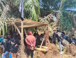 Usai Karnaval Kemerdekaan, Ratusan Petani S-TAB Reklaim Tujuh Blok Lahan Sawit