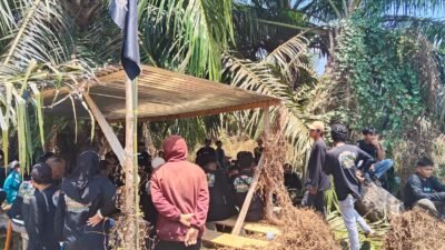 Usai Karnaval Kemerdekaan, Ratusan Petani S-TAB Reklaim Tujuh Blok Lahan Sawit