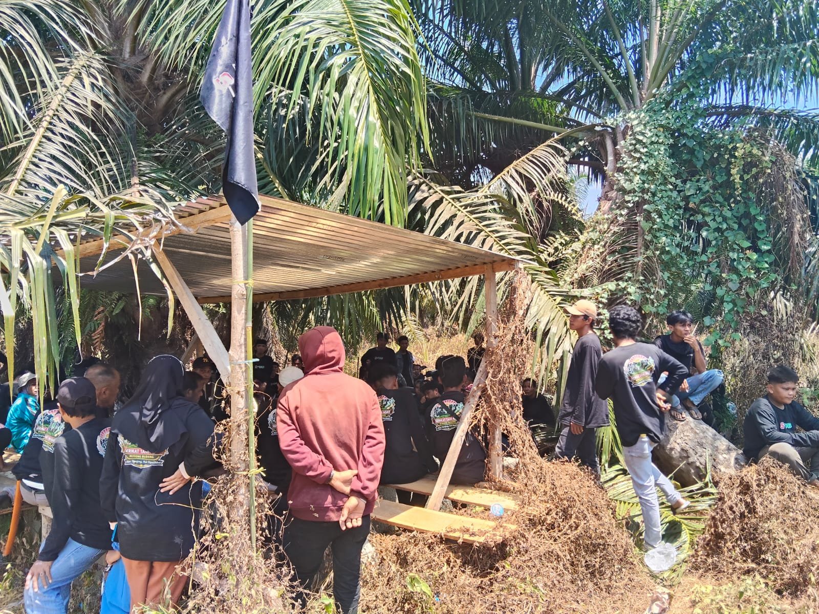 Usai Karnaval Kemerdekaan, Ratusan Petani S-TAB Reklaim Tujuh Blok Lahan Sawit