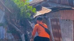 Dihantam Angin Kencang, Pohon Tumbang Timpa Rumah Warga di Turatea Jeneponto