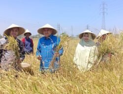 300 Petani Ikut Musyawarah Tani Abbulo Sibatang, Appi Dorong Pertanian Makassar