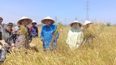 300 Petani Ikut Musyawarah Tani Abbulo Sibatang, Appi Dorong Pertanian Makassar