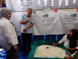 Dampingi Wagub Sulsel, Bupati Jeneponto Tinjau Rumah Produksi Garam Rakyat di Bangkala