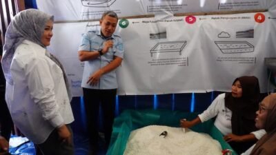 Dampingi Wagub Sulsel, Bupati Jeneponto Tinjau Rumah Produksi Garam Rakyat di Bangkala