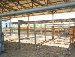 Appi Segera Upgrade RPH Tamangapa jadi Rumah Magot, Target Olah 7,2 Ton Sampah Perbulan