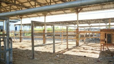 Appi Segera Upgrade RPH Tamangapa jadi Rumah Magot, Target Olah 7,2 Ton Sampah Perbulan