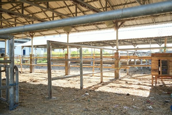 Appi Segera Upgrade RPH Tamangapa jadi Rumah Magot, Target Olah 7,2 Ton Sampah Perbulan