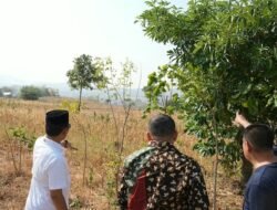 Makassar Bidik Lahan 20 Hektare di Maros Jadi Pemakaman