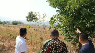 Makassar Bidik Lahan 20 Hektare di Maros Jadi Pemakaman