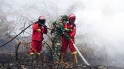 Puncak Karhutla 2026: 72 Ribu Hektare Tebakan, 734 Hektare Masih Berapi