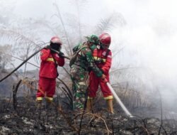 Puncak Karhutla 2026: 72 Ribu Hektare Tebakan, 734 Hektare Masih Berapi